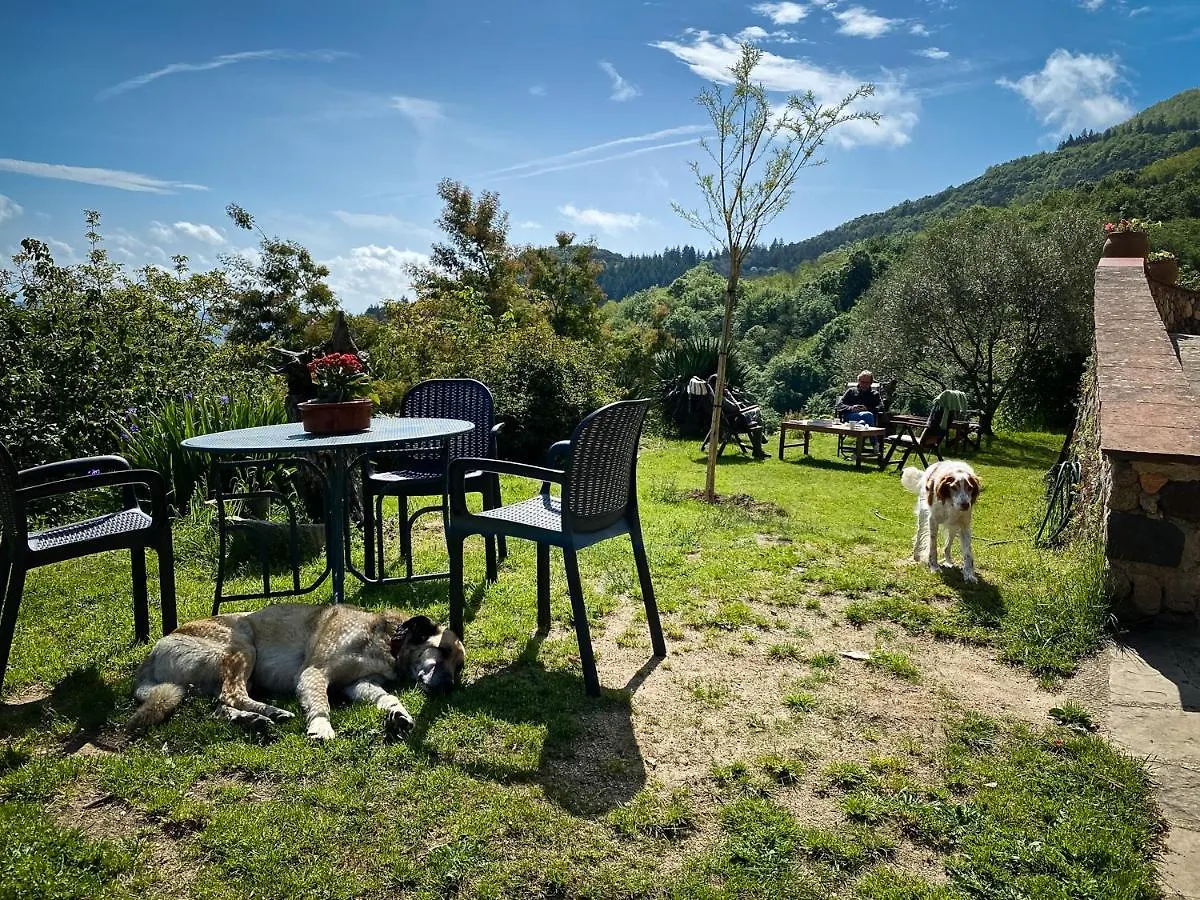El Buxaus De La Muntanya Guest House Arbucies Spain